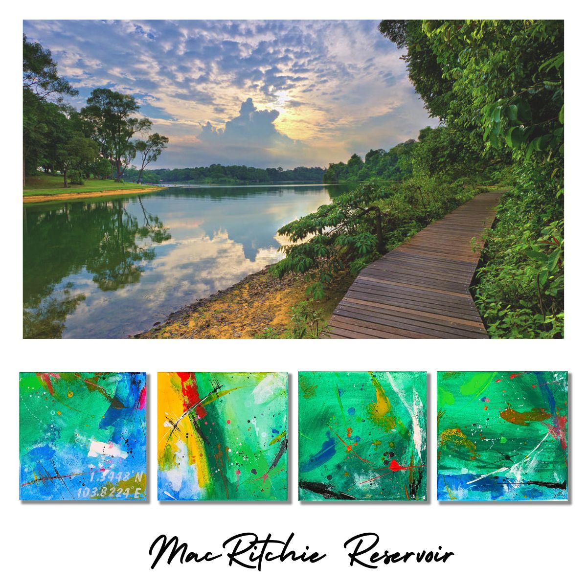 One Degree North: MacRitchie Reservoir coasters